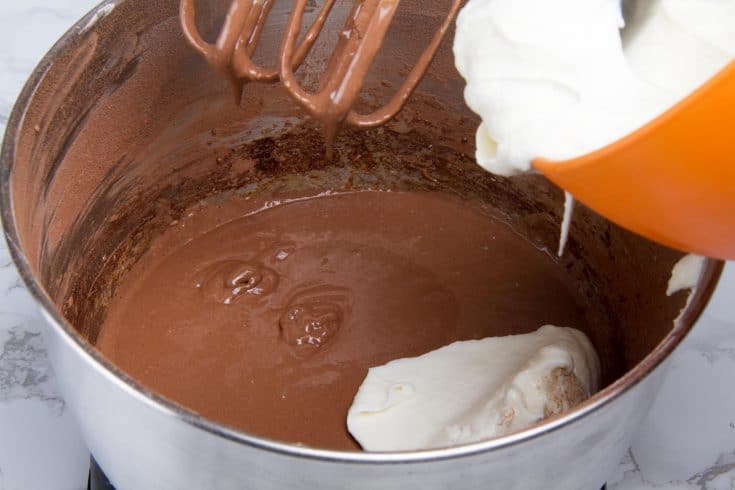 5 Ingredient Keto Chocolate Ice Cream - No Churn & Churn Versions - Oh ...