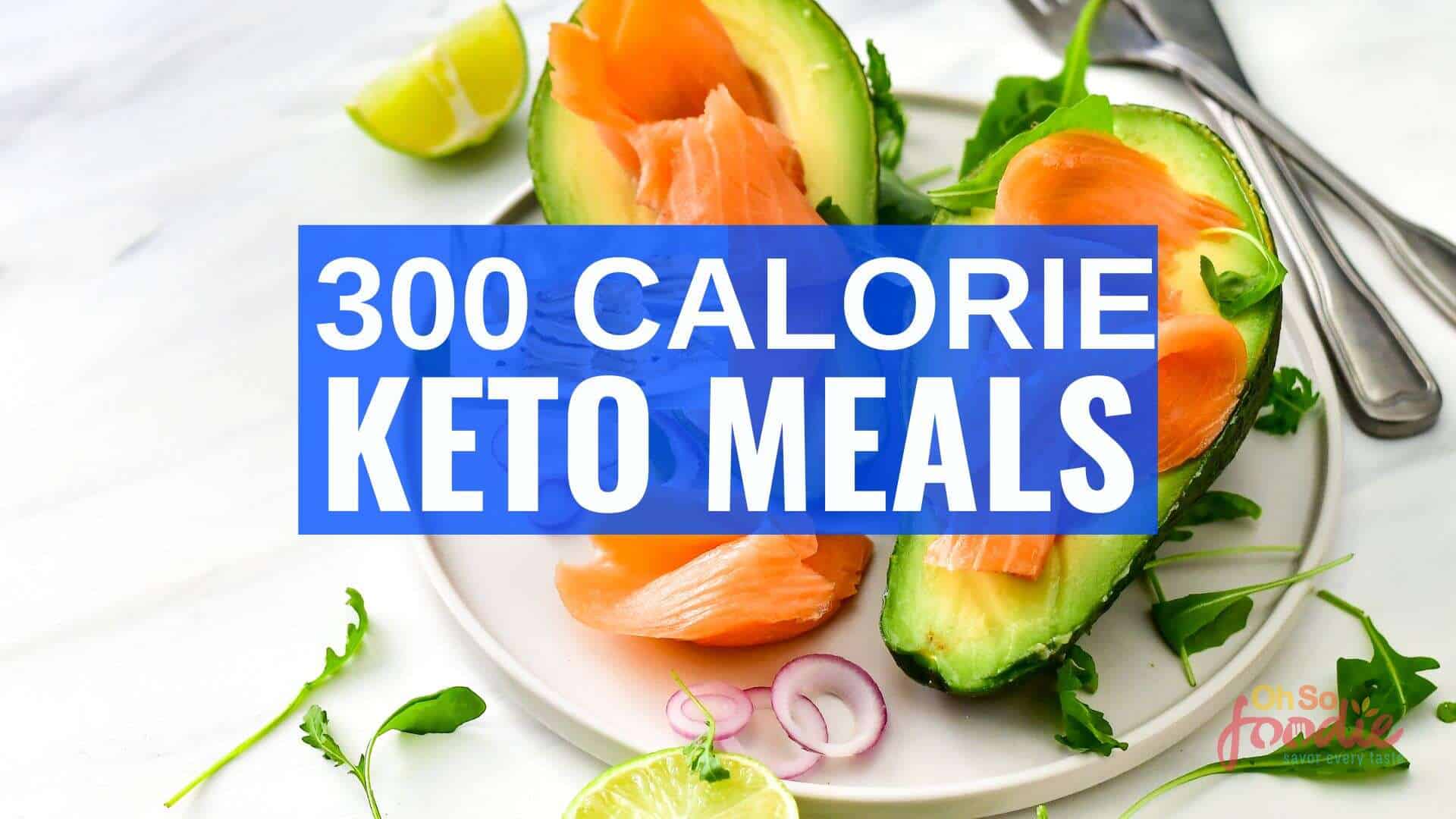300 TOP KETO MEALS visual data 3