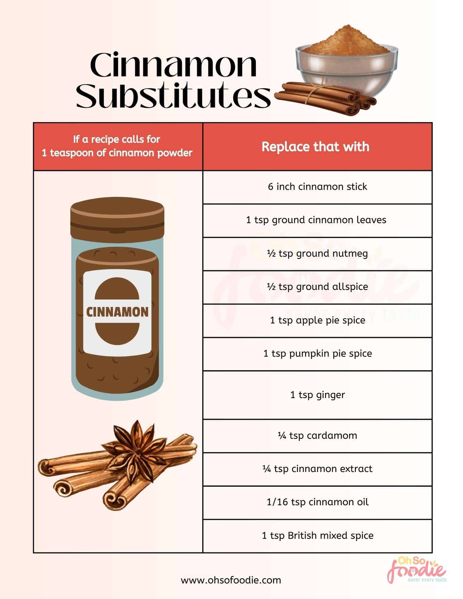 10 Best Cinnamon Substitutes In Everything! (Pdf Inside) Oh So Foodie