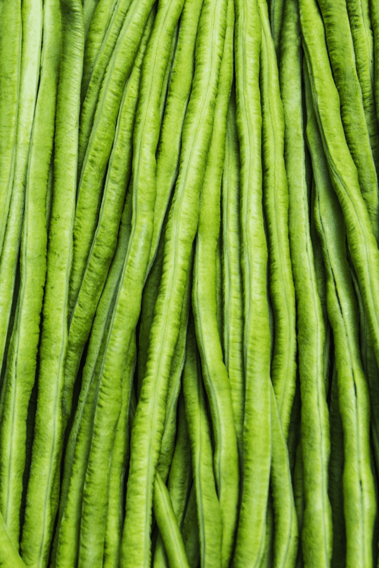 7 Best Keto Bean Substitutes Real Beans You Can Eat! Oh So Foodie