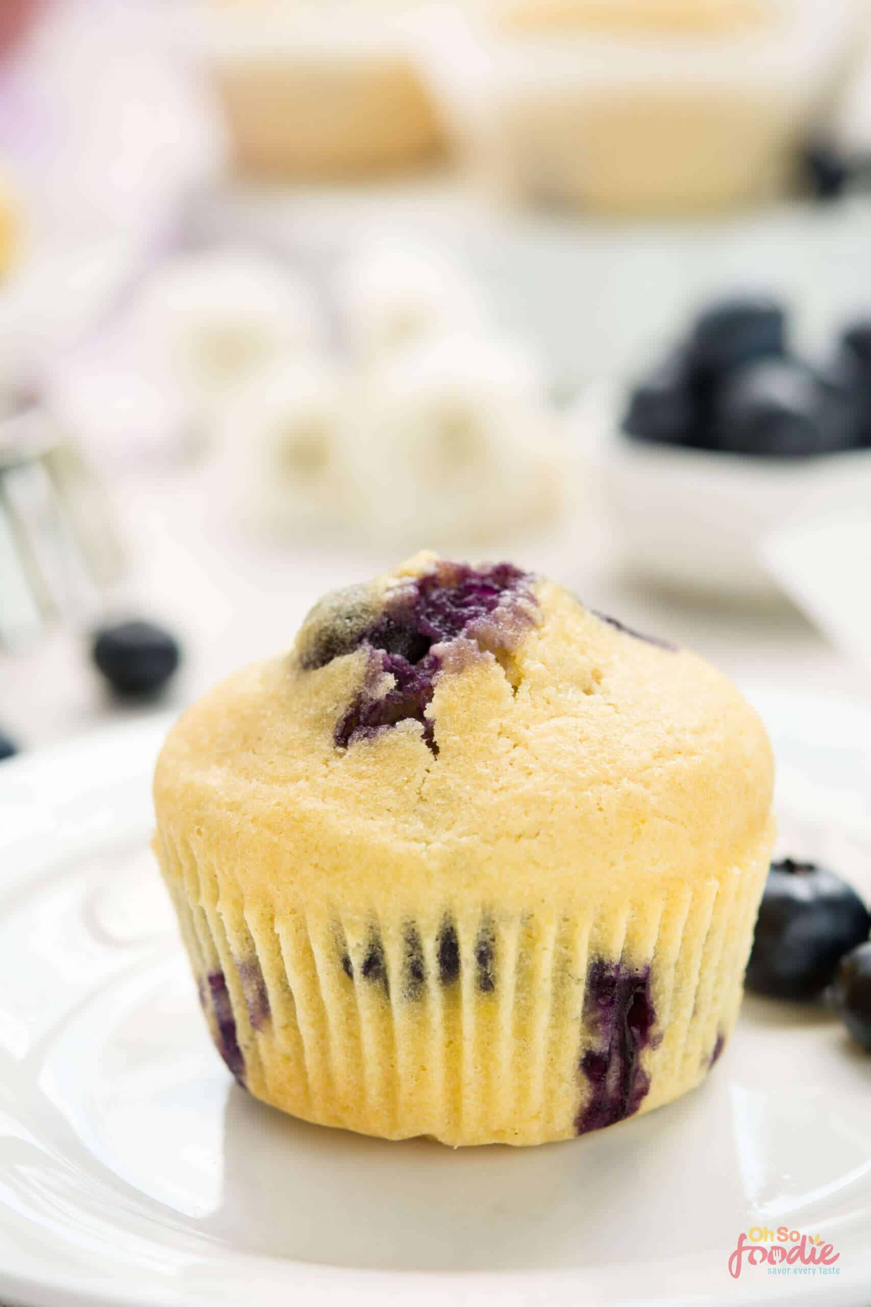 12 Best Ways To Substitute For Milk In Muffins - Oh So Foodie