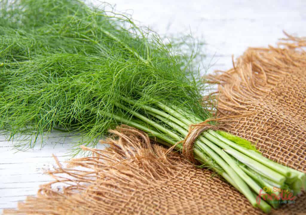 21 Best Dill Substitute Options That Work In A Pinch Oh So Foodie