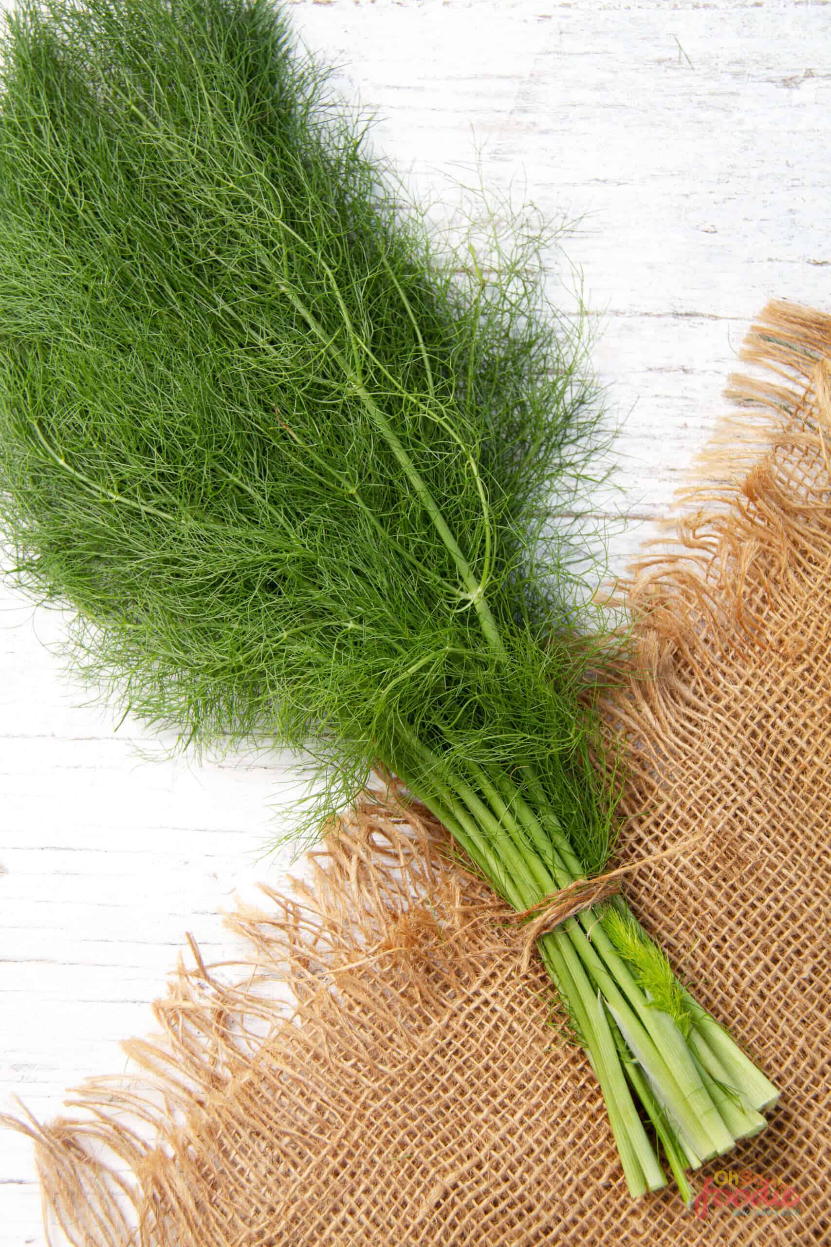 21 Best Dill Substitute Options That Work In A Pinch Oh So Foodie