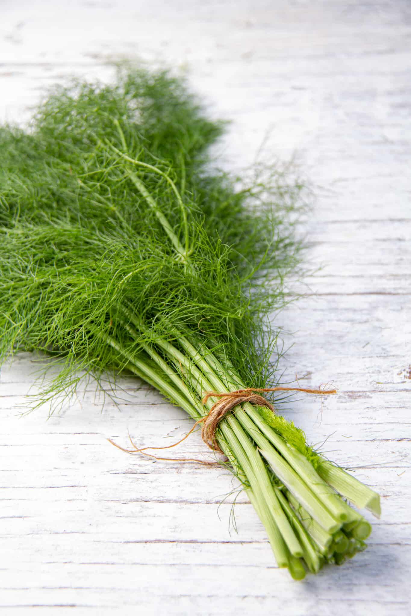 21 Best Dill Substitute Options That Work In A Pinch Oh So Foodie