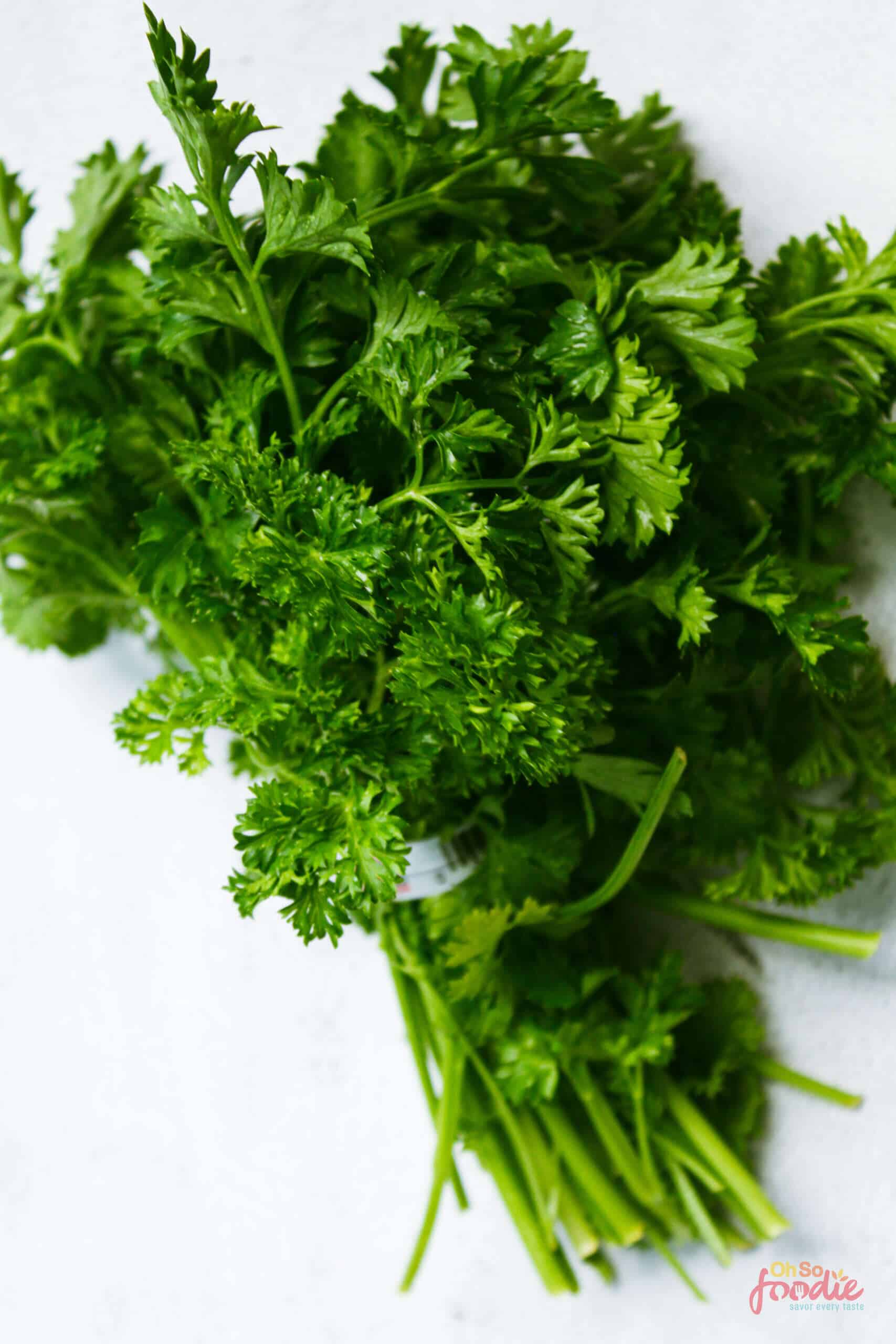 21 Best Dill Substitute Options That Work In A Pinch Oh So Foodie