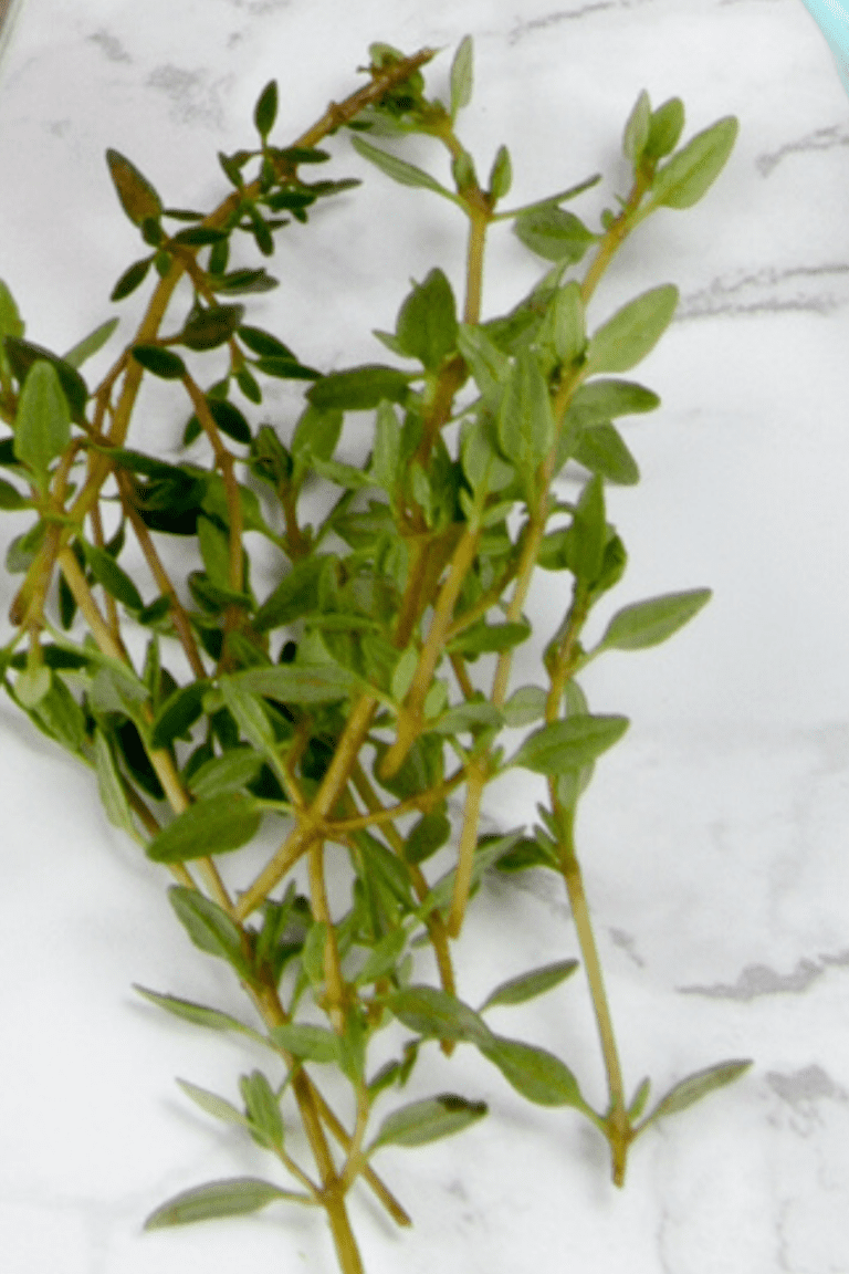 21 Best Dill Substitute Options That Work In A Pinch Oh So Foodie