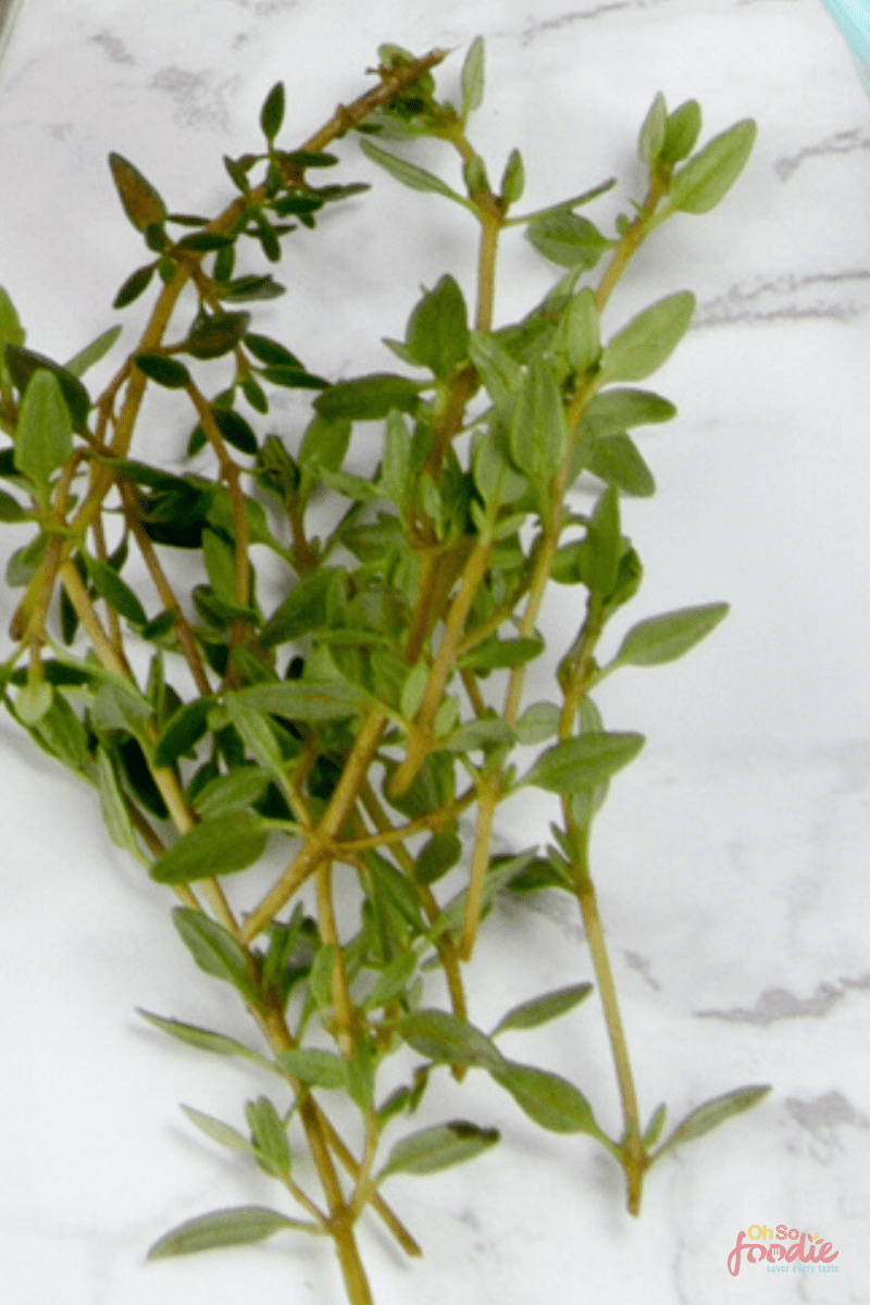 21 Best Dill Substitute Options That Work In A Pinch Oh So Foodie