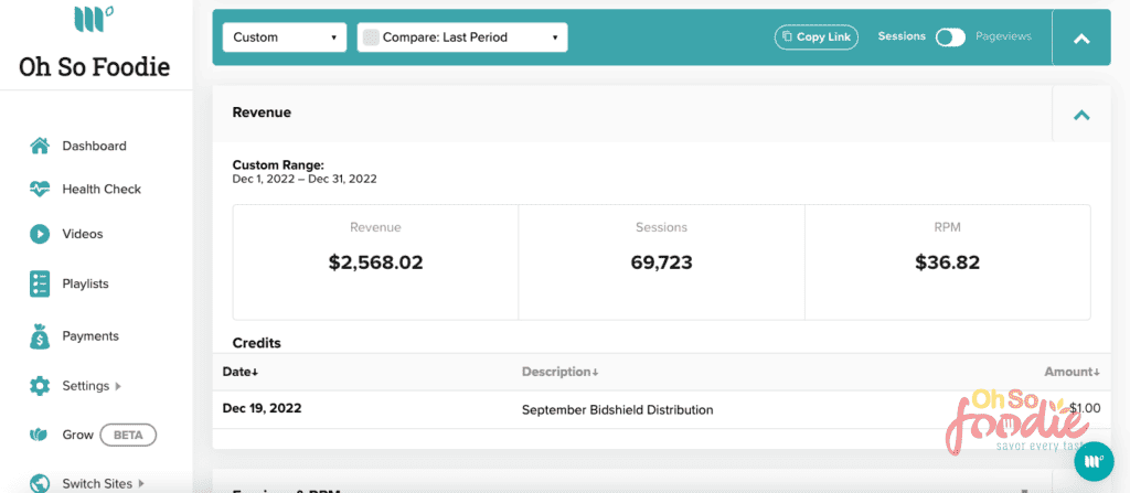 food blog income from ads december 2022