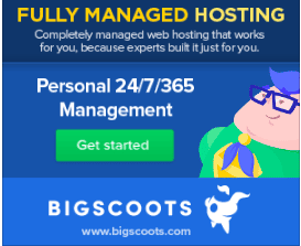 Managed WordPress - BigScoots