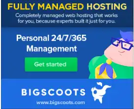 Managed WordPress - BigScoots